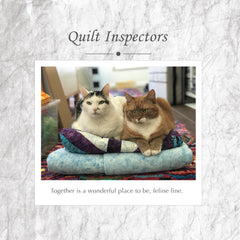 Quilt Inspectors Book
